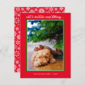 休暇写真 |生き物が動いていなかった シーズンカード (正面/裏面)