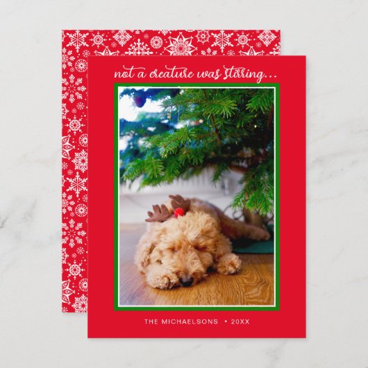 休暇写真 |生き物が動いていなかった シーズンカード (正面/裏面)