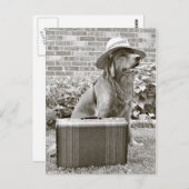 休暇 ポストカード (正面/裏面)