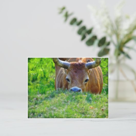 休暇 ポストカード (スタンド正面)