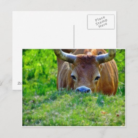 休暇 ポストカード (正面/裏面)