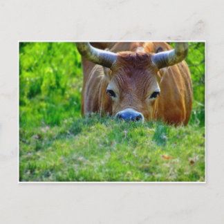 休暇 ポストカード