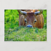 休暇 ポストカード (正面)