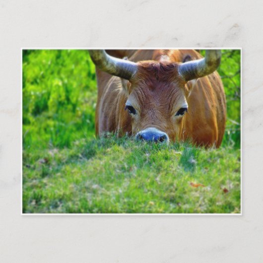 休暇 ポストカード (正面)