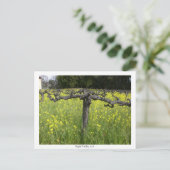 休眠中のつる植物 – ナパバレー ポストカード (スタンド正面)