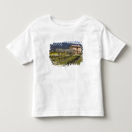休眠中のぶどう畑、果物の花、石造りの家、 トドラーTシャツ (正面)