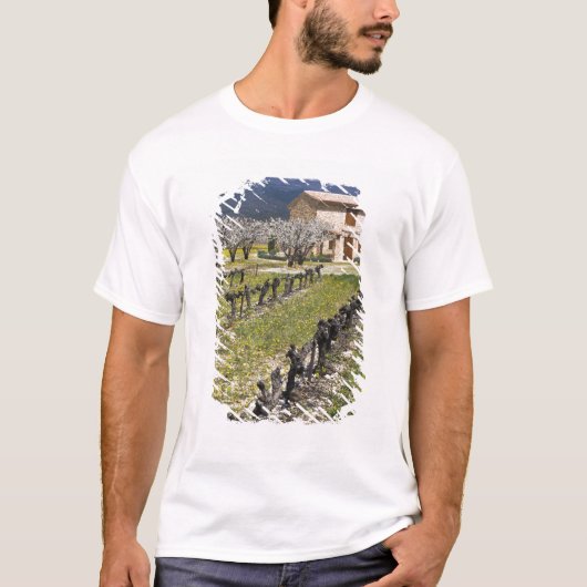 休眠中のぶどう畑、果物の花、石造りの家、 Tシャツ (正面)