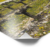 休眠中のブドウ園、果実の花、石の家。 フォトプリント            (角)