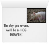 休養豚/戻ってきた日は、私たちは豚に入る (内部横(下))