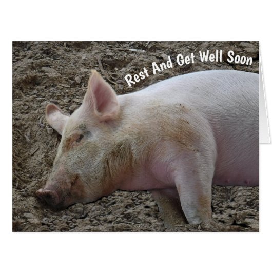 休養豚/戻ってきた日は、私たちは豚に入る (正面横)