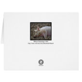 休養豚/戻ってきた日は、私たちは豚に入る (裏面横)