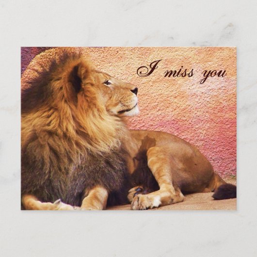 会いたいよ_ポストカード ポストカード (正面)