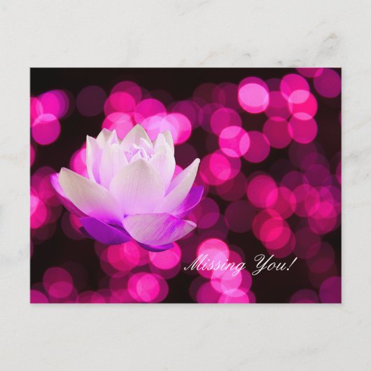 会いたいポストカード ポストカード (正面)