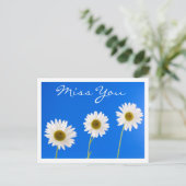 会いたい気持ちを伝える 白いデイジーの花のグリーティングポストカード ポストカード (スタンド正面)