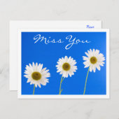 会いたい気持ちを伝える 白いデイジーの花のグリーティングポストカード ポストカード (正面/裏面)