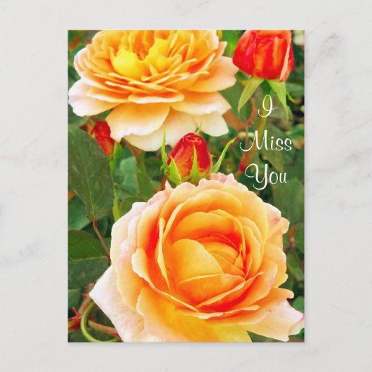 会いたい/どんなシーンにも使えるポストカード ポストカード (正面)