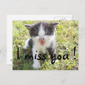 会いたい ポストカード (正面/裏面)