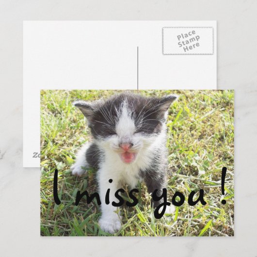 会いたい ポストカード (正面/裏面)