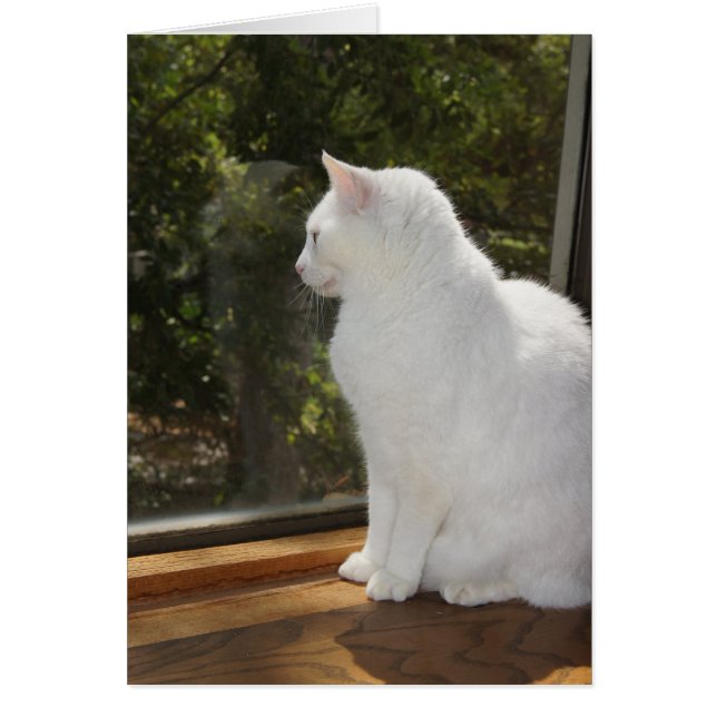 会うために待つことができません (正面)