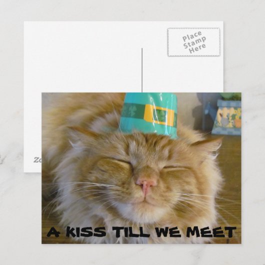 会うキス ポストカード (正面/裏面)