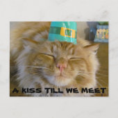 会うキス ポストカード (正面)