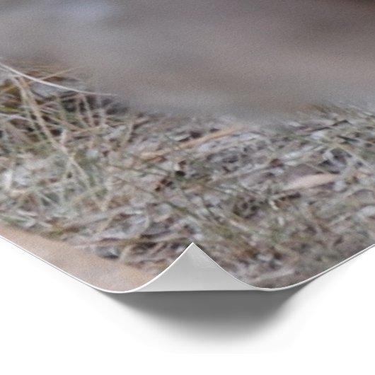 会う新生児 ポスター (角)