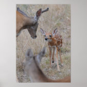 会う新生児 ポスター (正面)