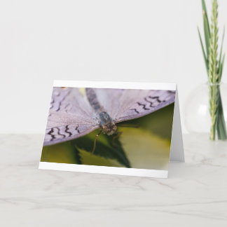 会えてうれしい カード