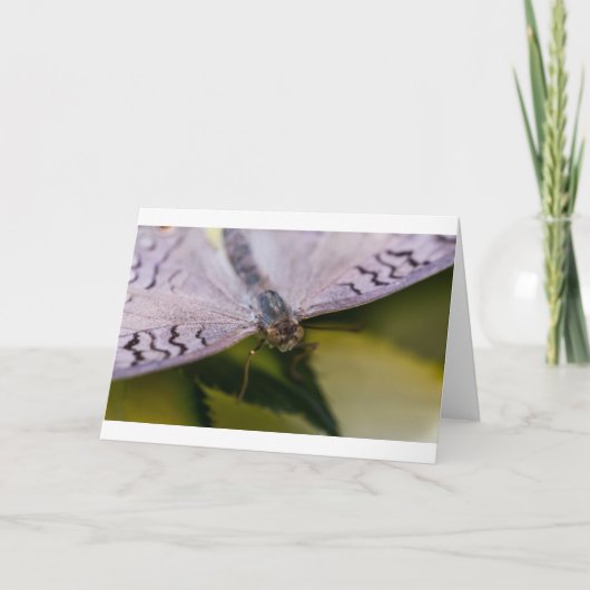 会えてうれしい カード (正面)