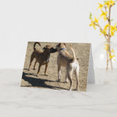 会えてうれしい! カード (黄色い花)