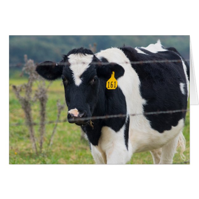 会ったな (正面横)