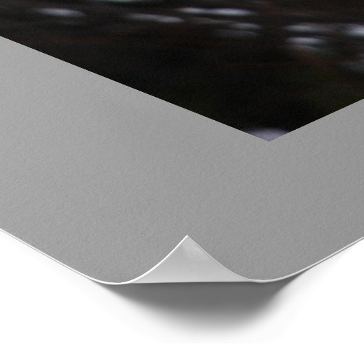 会ったな ポスター (角)