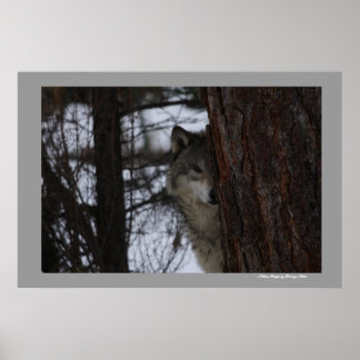 会ったな ポスター