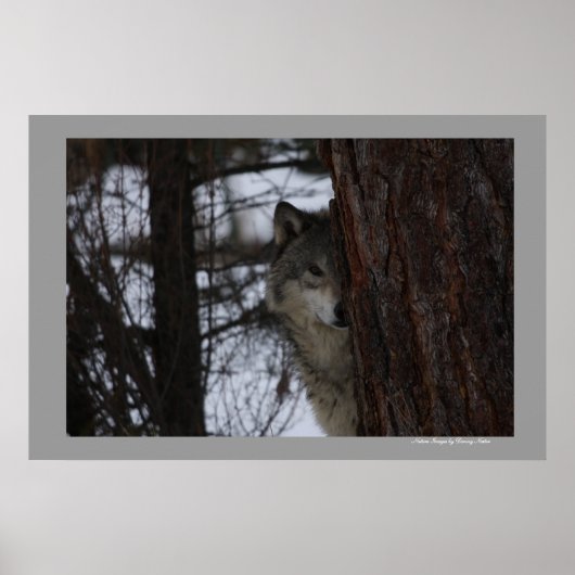 会ったな ポスター (正面)