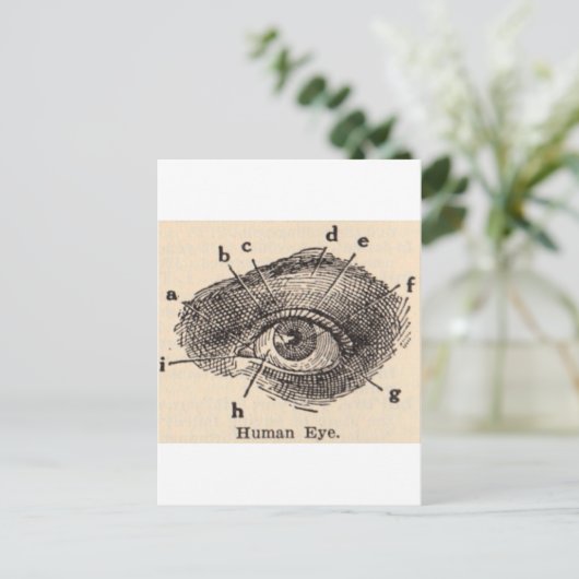 会ったな ポストカード (スタンド正面)