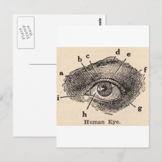 会ったな ポストカード (正面/裏面)