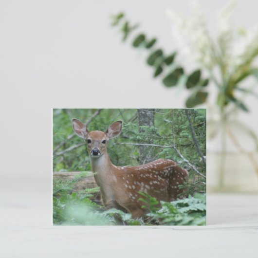 会ったな ポストカード (スタンド正面)