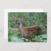 会ったな ポストカード (正面/裏面)