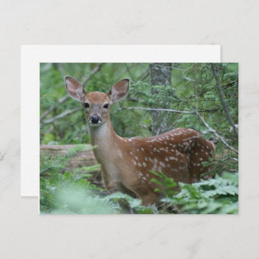 会ったな ポストカード (正面/裏面)