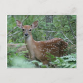 会ったな ポストカード (正面)