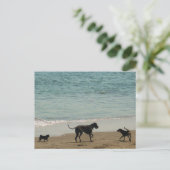 会って挨拶 ポストカード (スタンド正面)