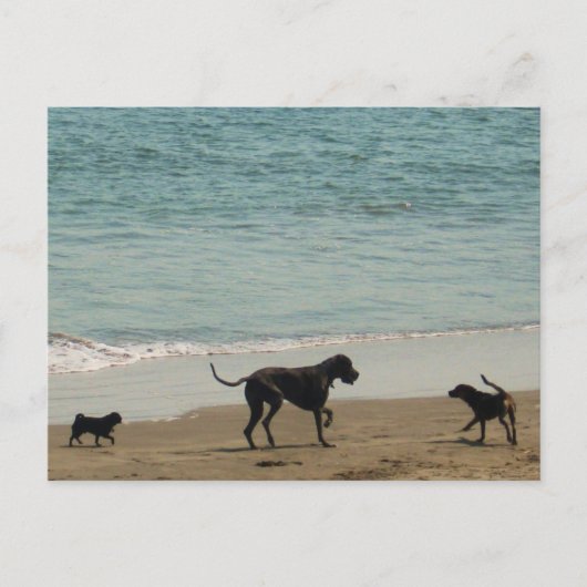 会って挨拶 ポストカード (正面)