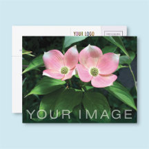 会社のカスタムロゴと写真が付いたビジネス用はがき