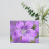 会社はがき ポストカード (スタンド正面)