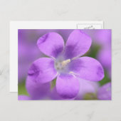 会社はがき ポストカード (正面/裏面)