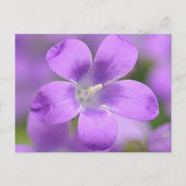 会社はがき ポストカード