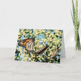 会社カードの提供 カード