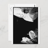 会話の白黒花の写真P ポストカード (正面/裏面)