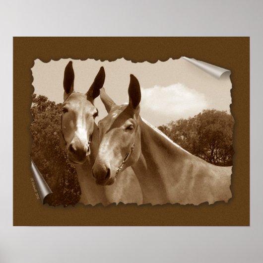 会話 ポスター (正面)