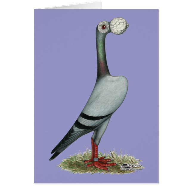 伝書鳩2012年 (正面)